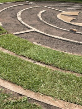 Turf laied on bare dirt
